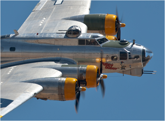 B17 Fuddy Duddy