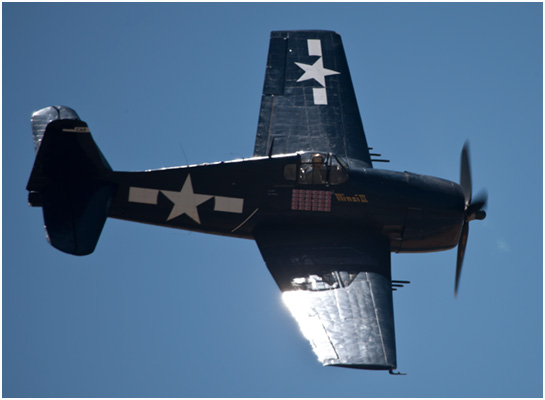 Grumman F6F-5 Wildcat images