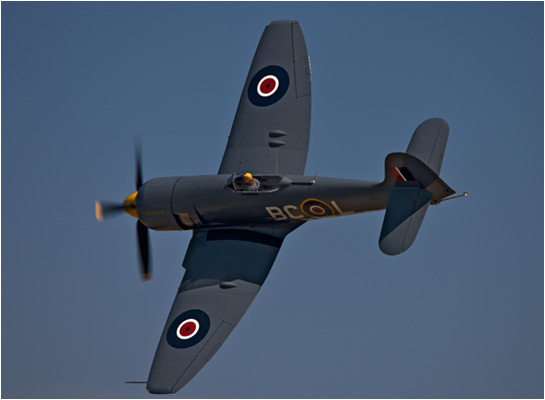 sea fury airplane pictures