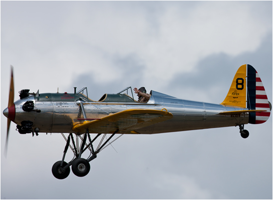 Ryan Training aeroplane pictures