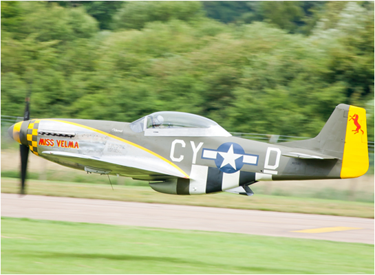 Miss Velma Mustang pictures