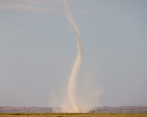 amboseli safari dust devil