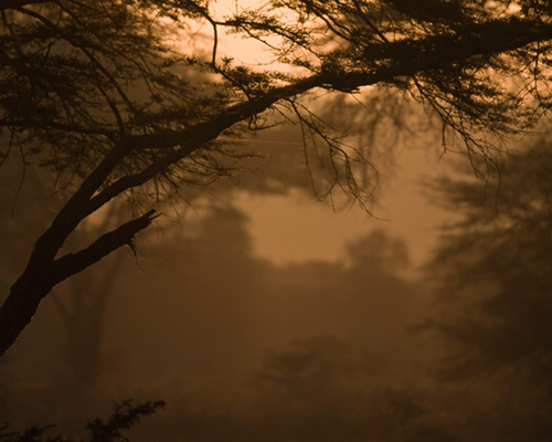 lake nakuru dawn