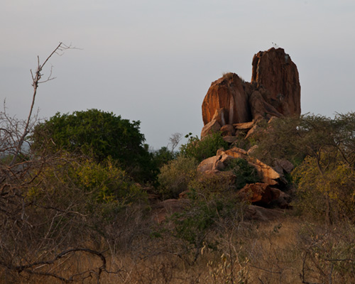 tsavo scenery kenya africa