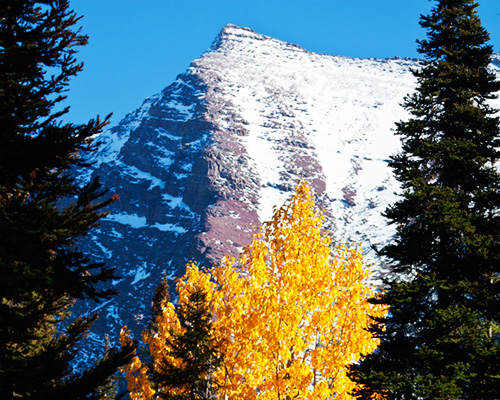 Montana glacier national park