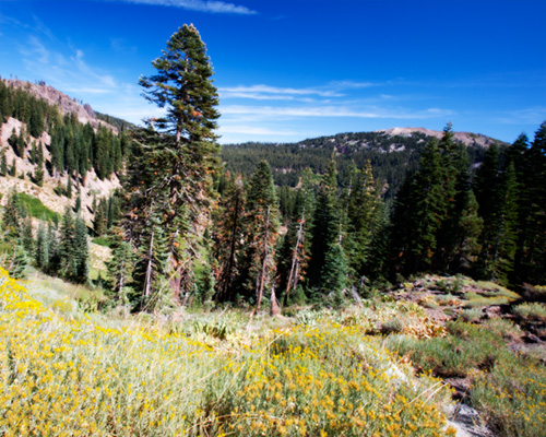 Lassen Volcanic National Park