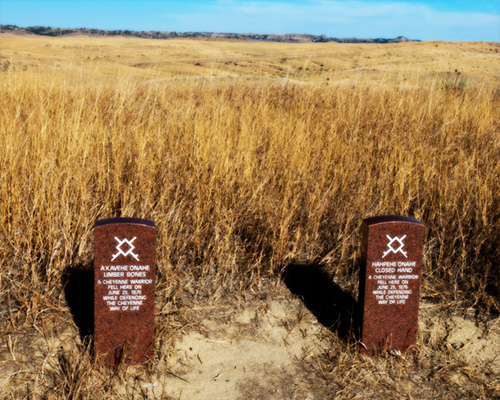 cheyenne indians little bighorn