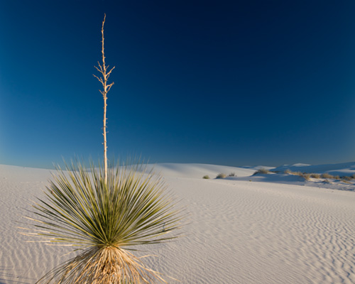 white sands new mexico